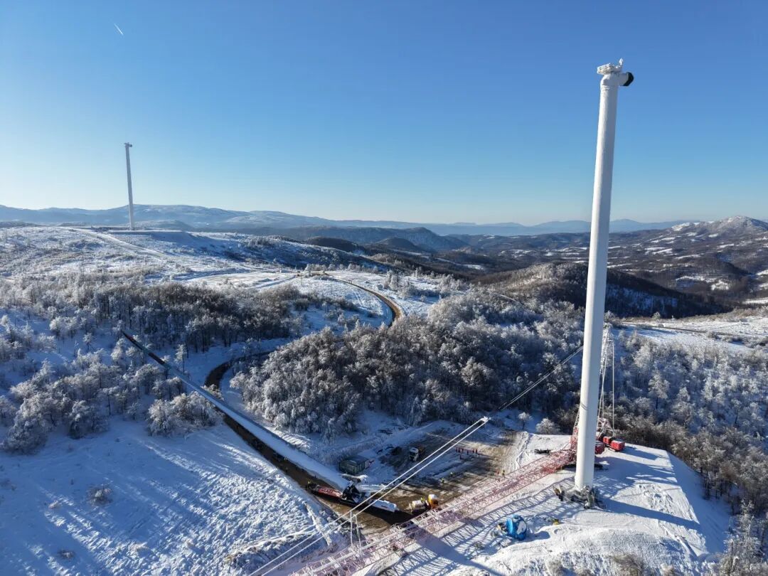 P020260306528538502883