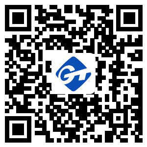 W020240110502280496129