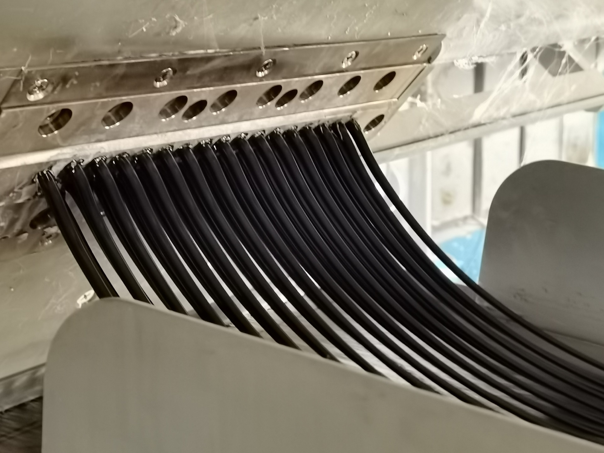 W020230807627581683557